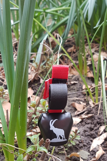 Swisstrailbell Black Edition Steinbock Rotband