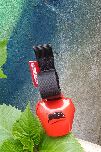 Swisstrailbell die Wildsau auf rot
