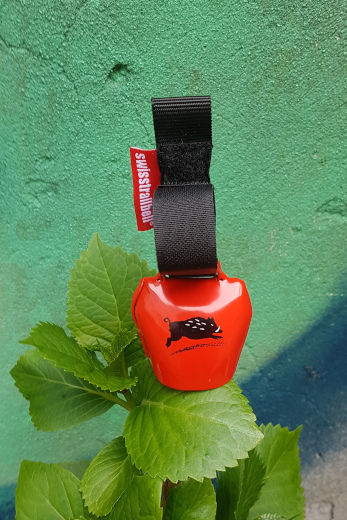 Swisstrailbell die Wildsau auf rot