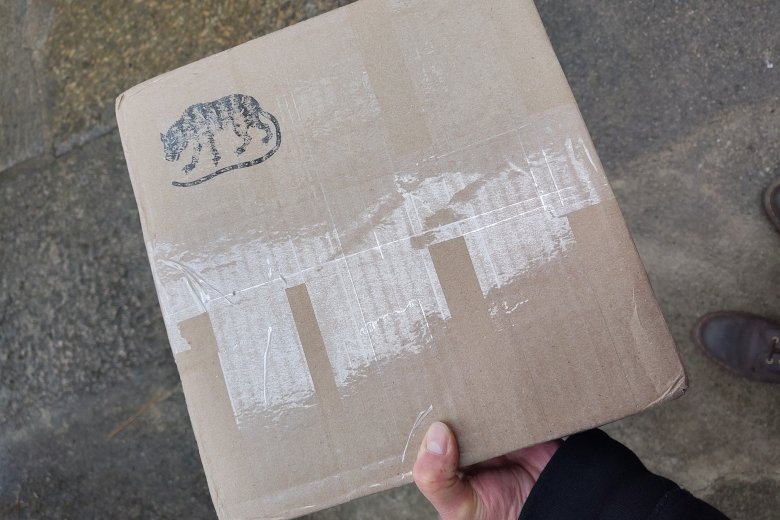 Wende Cragg Camera Corner