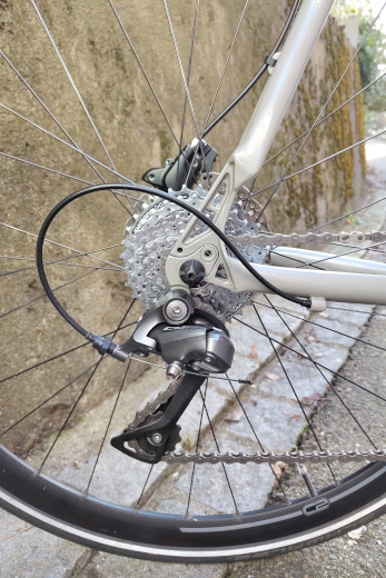 Sticha X VeloFlicki & FeiniVelos Custom