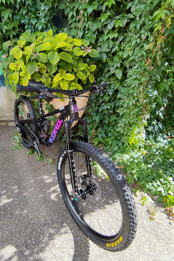 Kona Process 246